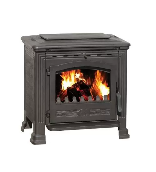 Водяная печь камин Plamen Tena Termo